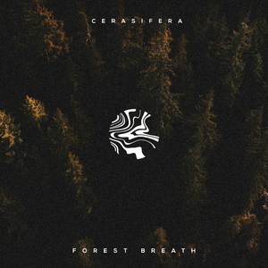 尻屄视频免费观看
