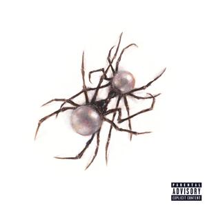 尻屄视频免费观看
