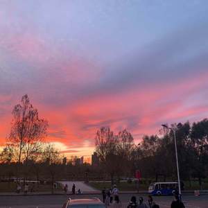 尻屄视频免费观看
